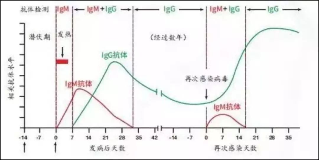 广东14 出院患者核酸「复阳:是否需要重新考虑新冠出院标准?