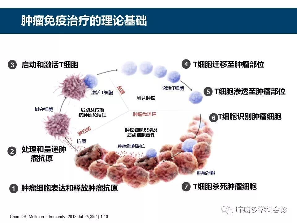 肿瘤免疫治疗的历史和发展