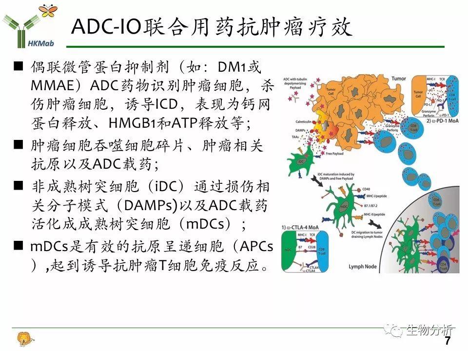 簡述adc與腫瘤免疫治療聯合用藥開發現狀